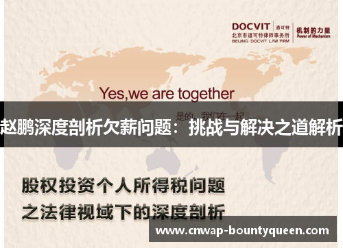 赵鹏深度剖析欠薪问题：挑战与解决之道解析