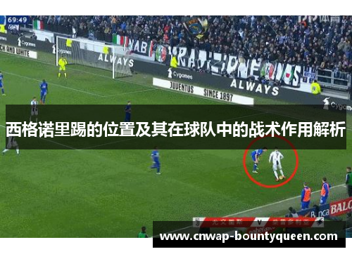 西格诺里踢的位置及其在球队中的战术作用解析